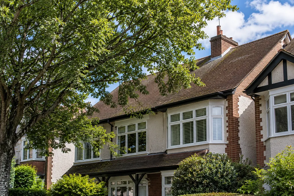 Large overhanging tree beside a residential house in London