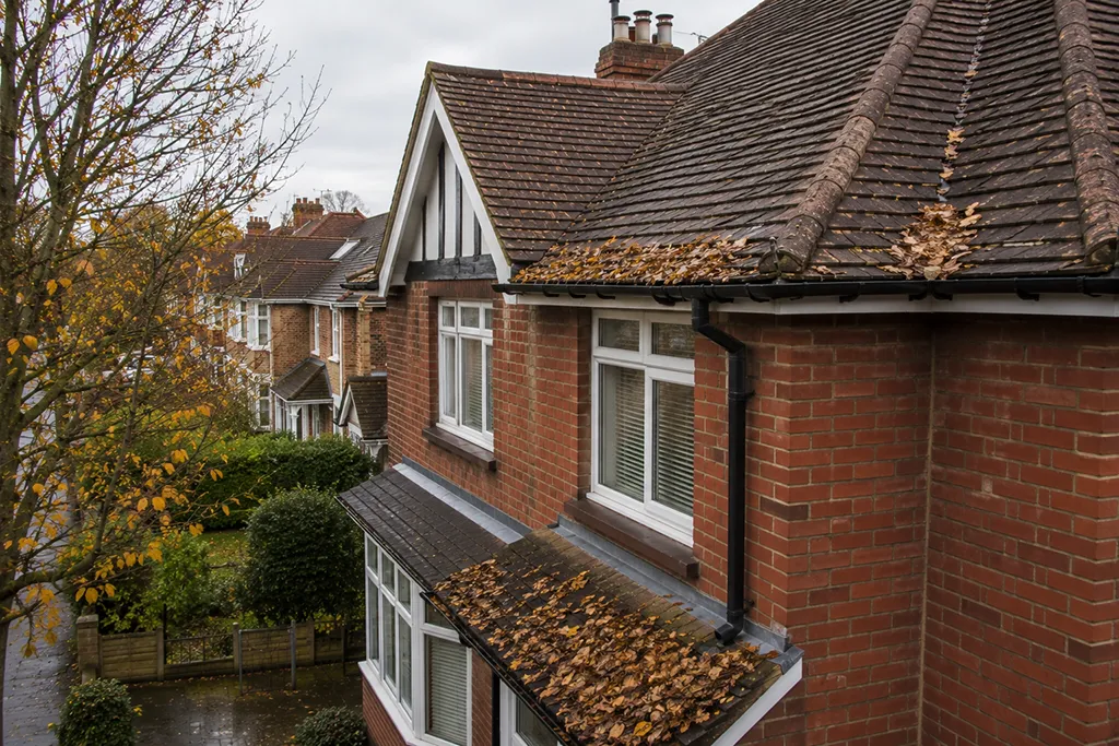 Residential house in London with autumn leaves collecting along the roofline and gutters