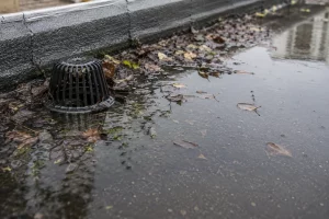 Standing water and debris around a blocked flat roof drain after heavy rain