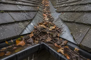 Wet autumn debris blocking a roof valley and guttering on a tiled roof
