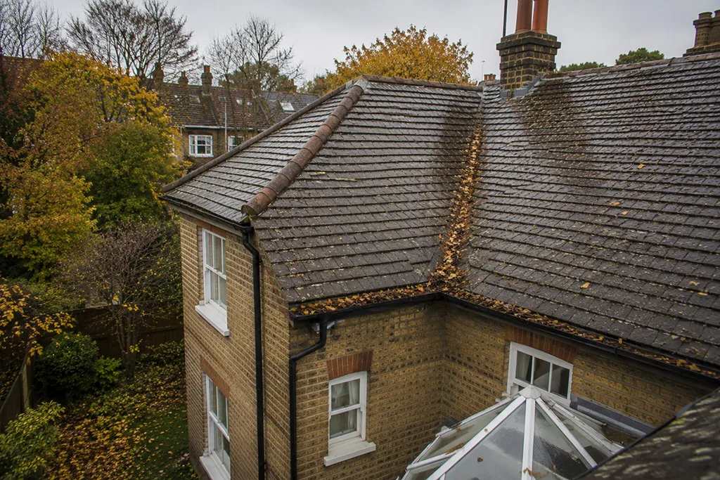 Residential roof in London with autumn debris visible in roof valley and guttering