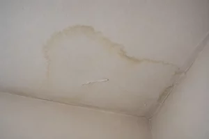 Small ceiling stain with peeling paint showing possible roof leak